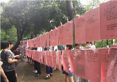 要求太高，相亲36年仍是单身狗